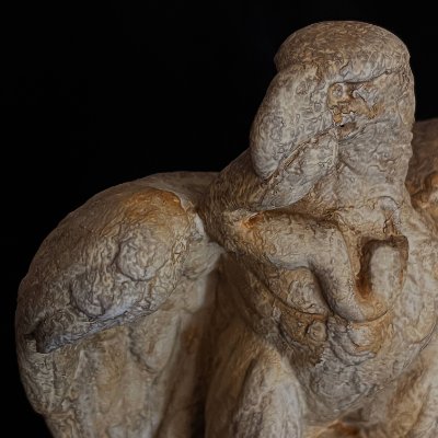 Detailed view of the eagle's head and the snake coiled around its neck and beak.