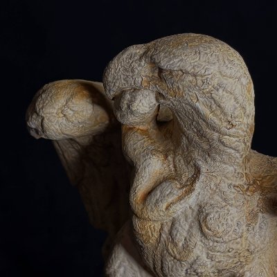 Profile view showing the textured surface of the eagle's head and left wing.