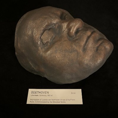 An angled top-down perspective displays the right facial profile of the replica mask.