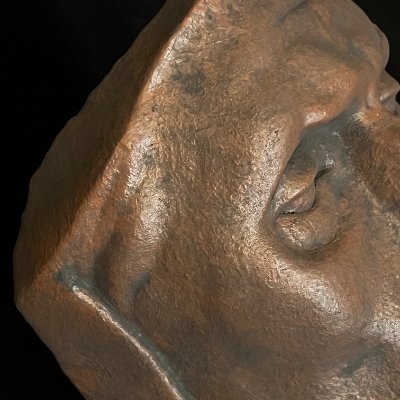 Detailed surface view of the right eye and brow ridge texture.