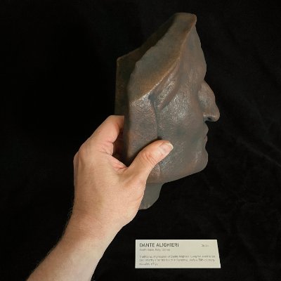 Left lateral profile supported by a handler to provide physical scale reference.