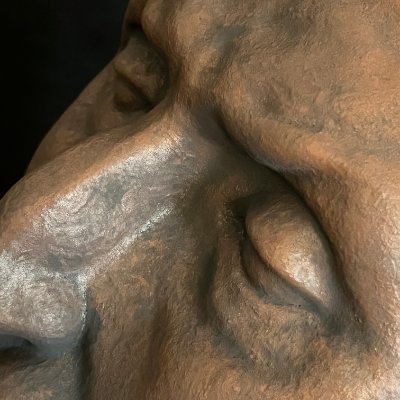 Close-up detail of the left eye and nose bridge showing the bronze-infused patina.