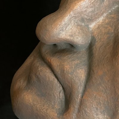Macro view highlighting the asymmetrical resting folds of the mouth and chin texture.