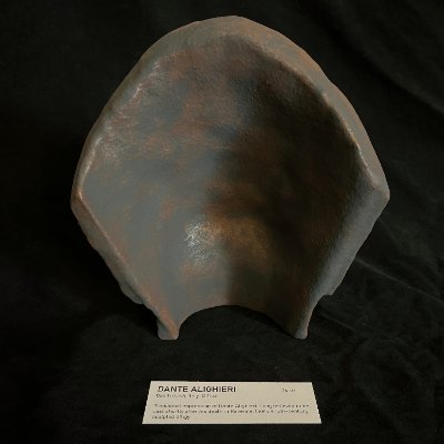 Posterior view of the hollow interior displaying the reconstituted limestone matrix.