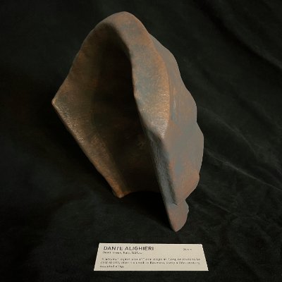 Oblique interior view demonstrating the structural thickness of the replica's edge.