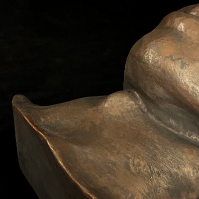 Macro detail of the neck and chin area emphasizing the bronze patina finish.