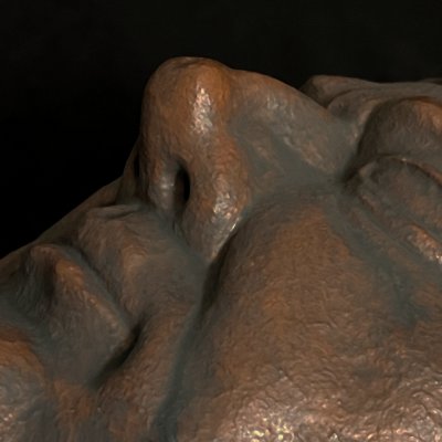 Close-up macro view detailing the surface texture of the nose and right cheek.
