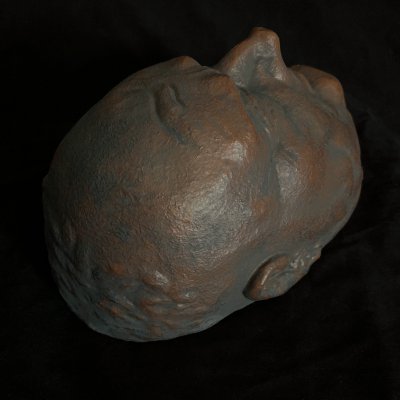 Oblique superior angle displaying the smooth curvature of the upper head.