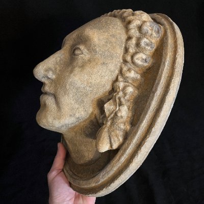 Right lateral profile supported to provide physical scale reference.