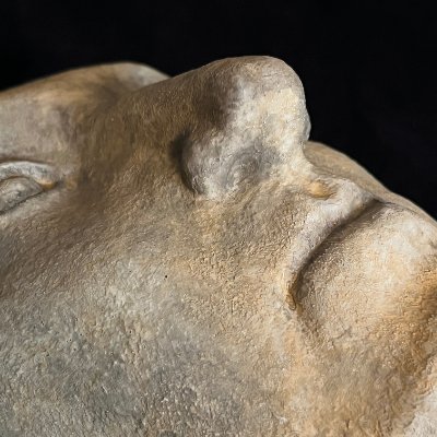 Close-up view of the nose bridge and right eye surface texture.