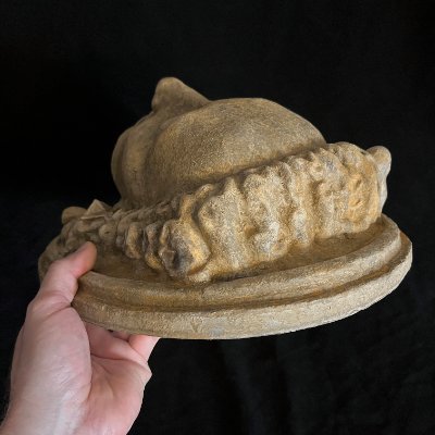 Inferior view supported by a hand, detailing the intricate hair detail.