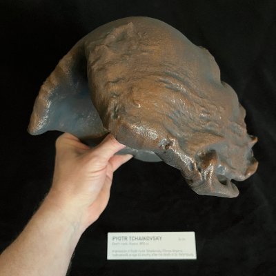 Low angle view of the interior cavity and chin structure held by hand against a backdrop.