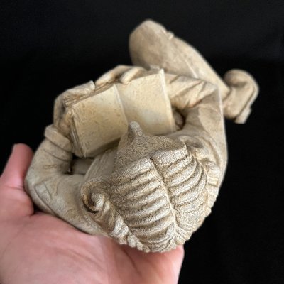 Top-down view of the head and open book held in a hand to show structural depth.