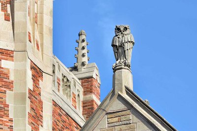 Second photo of the owl atop the Yale Law School Library